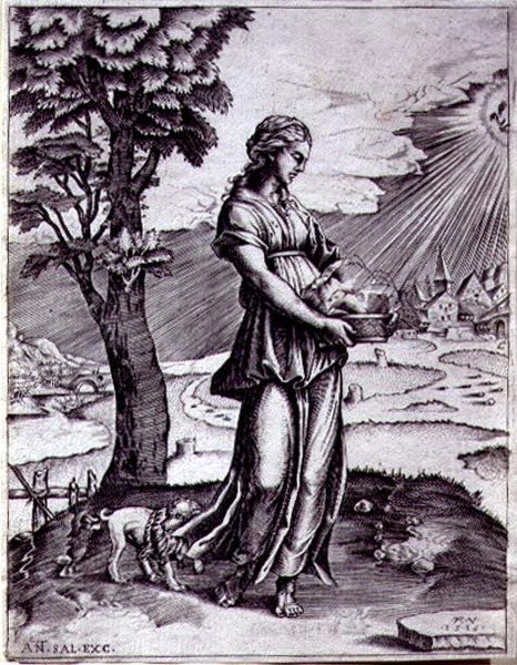 La Sibilla Cumana da Agostino Musi