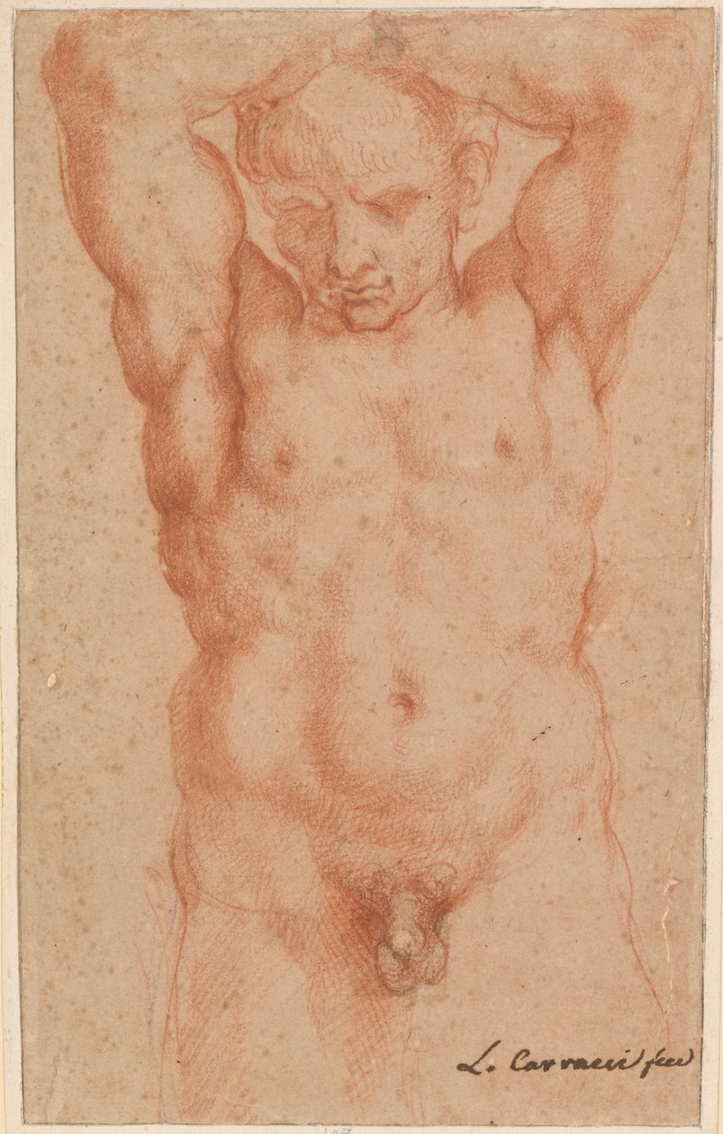 Nudo maschile da Agostino Carracci
