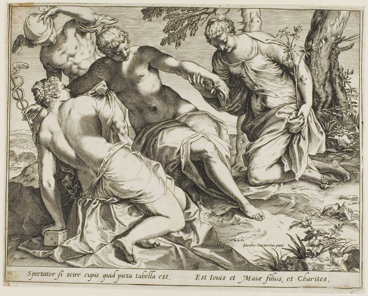 Mercurio e le Grazie da Agostino Carracci