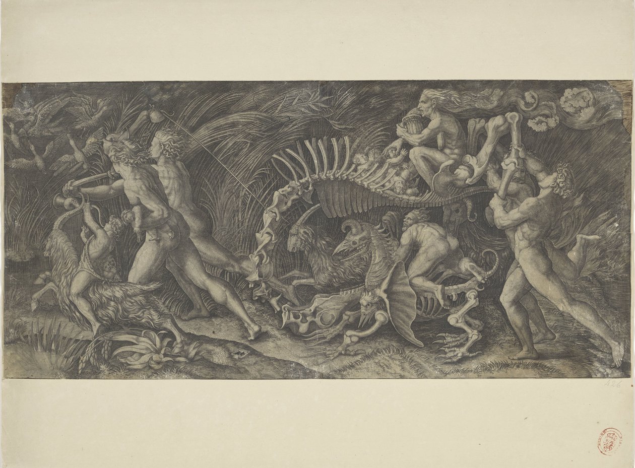 La carcassa, Lo stregozzo da Agostino Veneziano