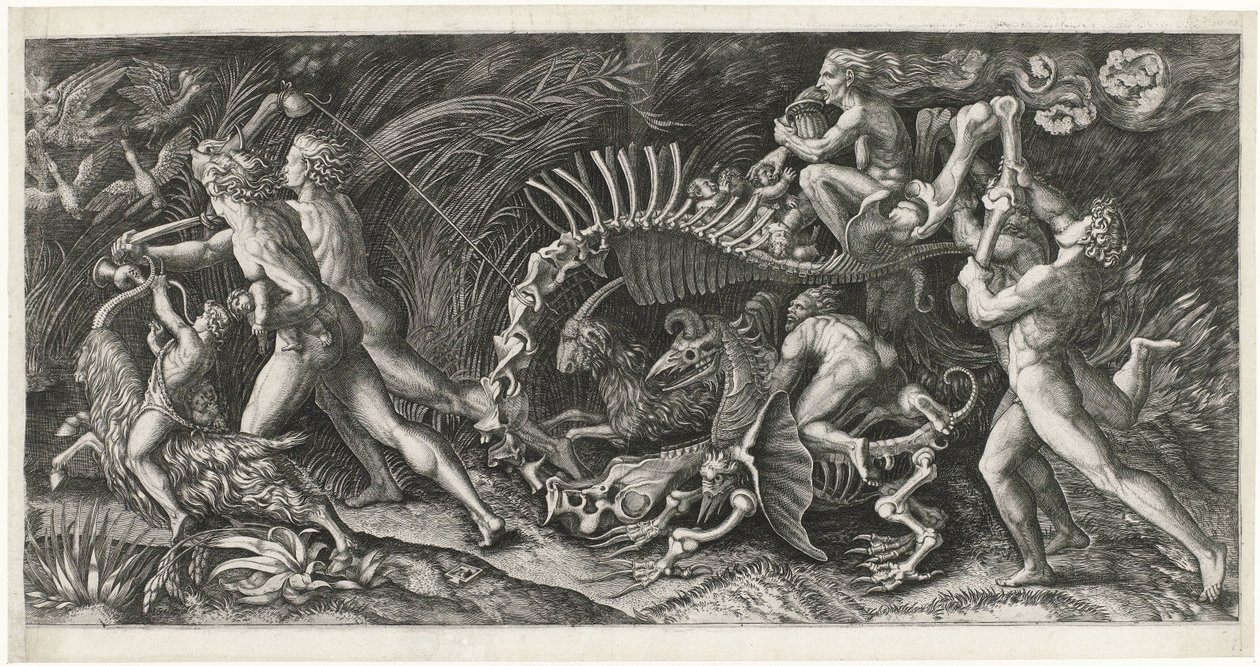 La carcassa da Agostino Veneziano