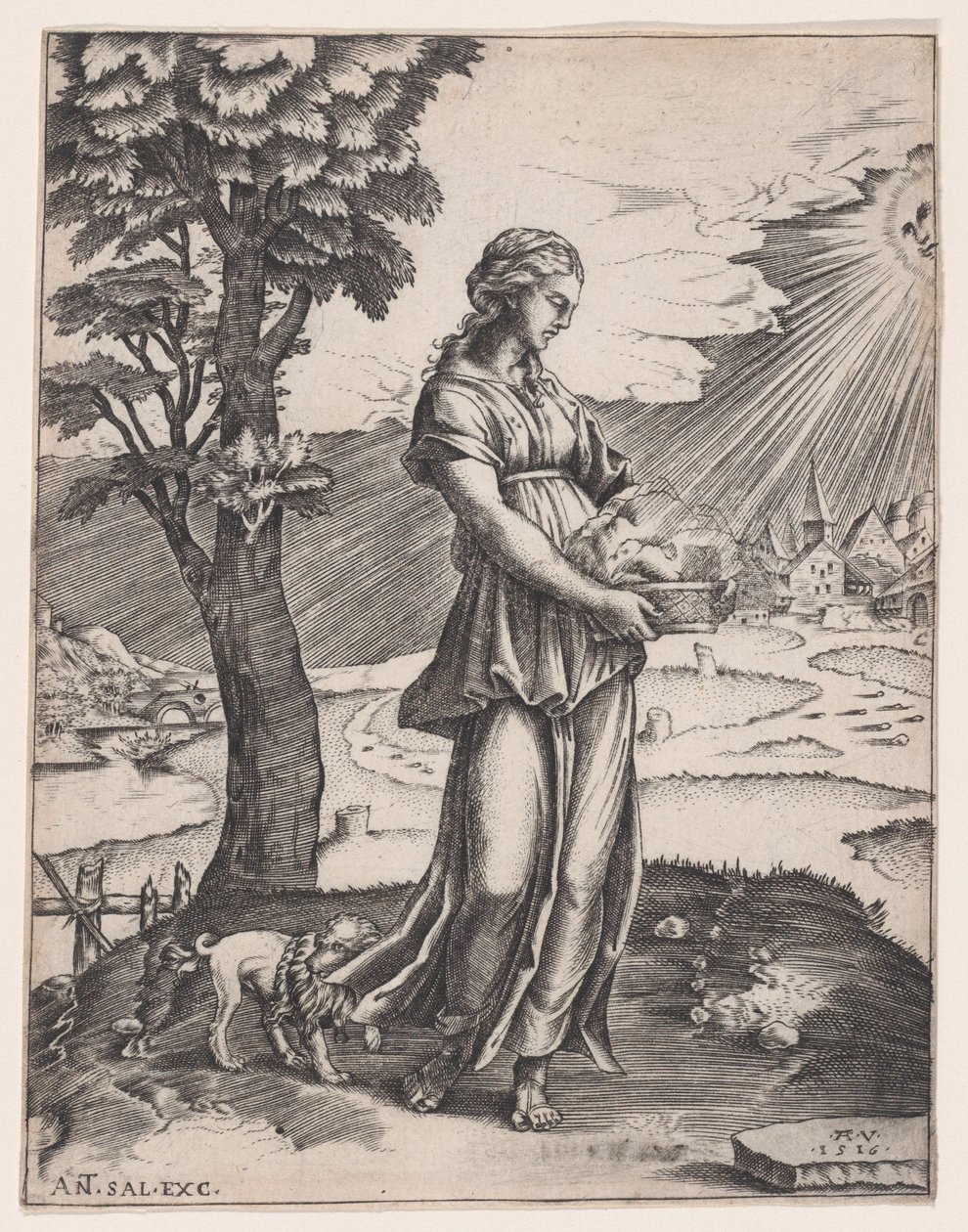 La Sibilla Cumana da Agostino Veneziano
