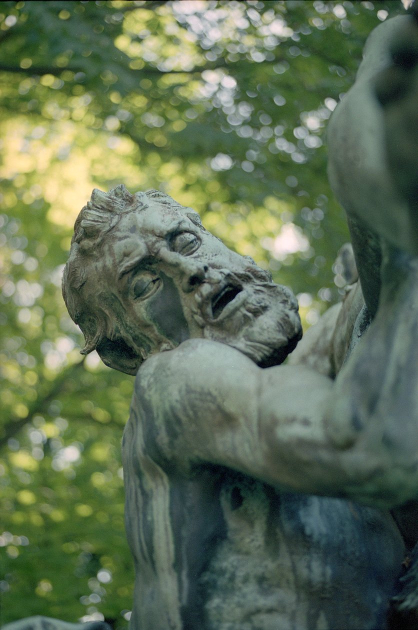 Il trionfo di Sileno (dettaglio) da Aime Jules Dalou
