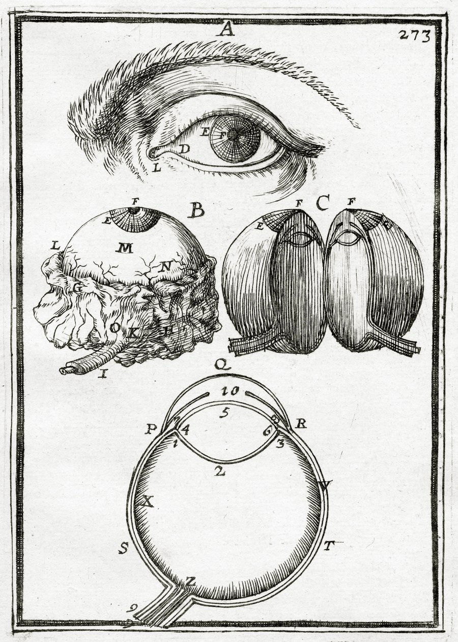 Illustrazione da La Geometrie Pratique 1702 da Alain Manesson Mallet