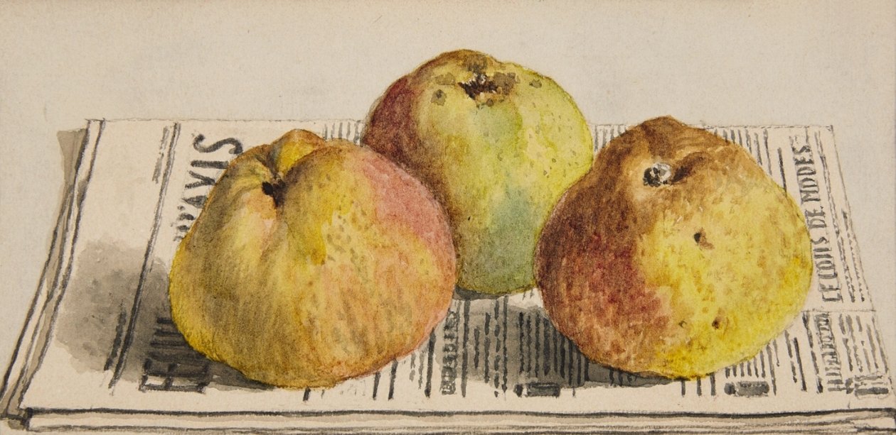 Natura morta con tre mele e giornale da Albert Anker