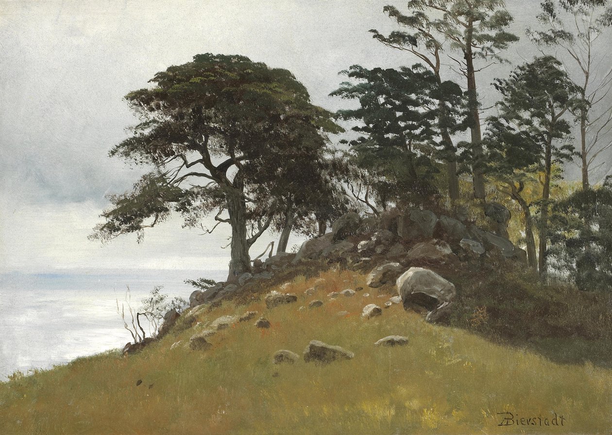 Cypress Point, Monterey da Albert Bierstadt