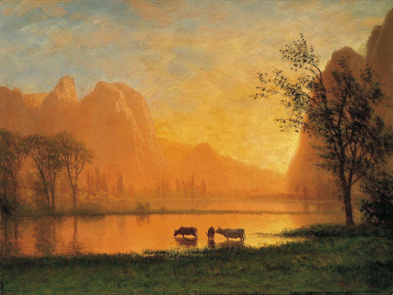Tramonto a Yosemite da Albert Bierstadt