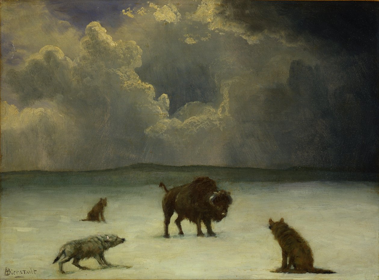 Intrappolato da Albert Bierstadt