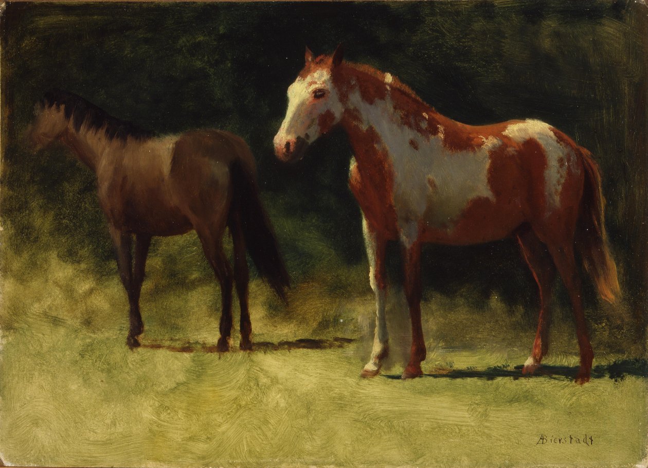 Due cavalli da Albert Bierstadt
