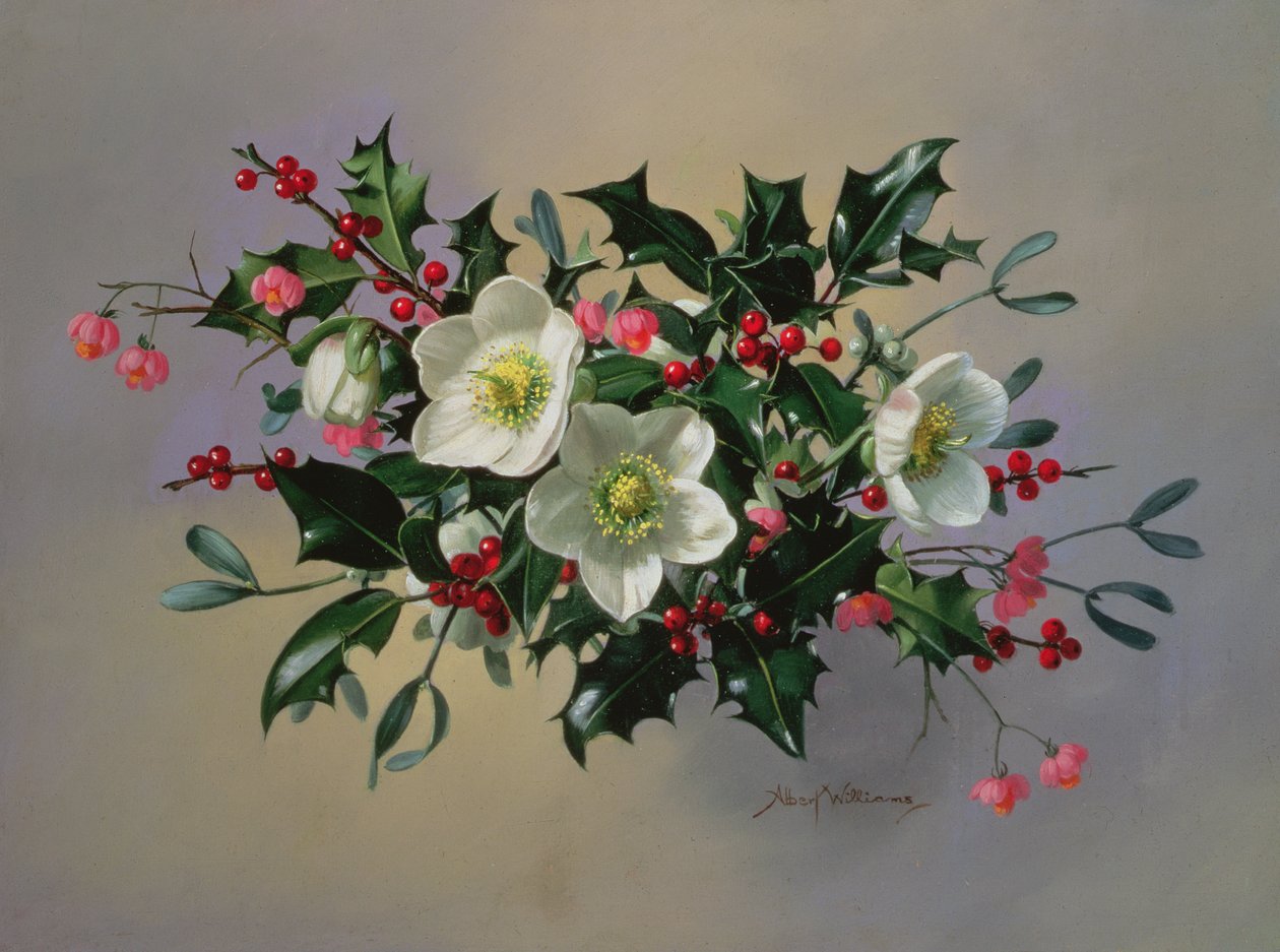 AB89 Rose di Natale da Albert Williams