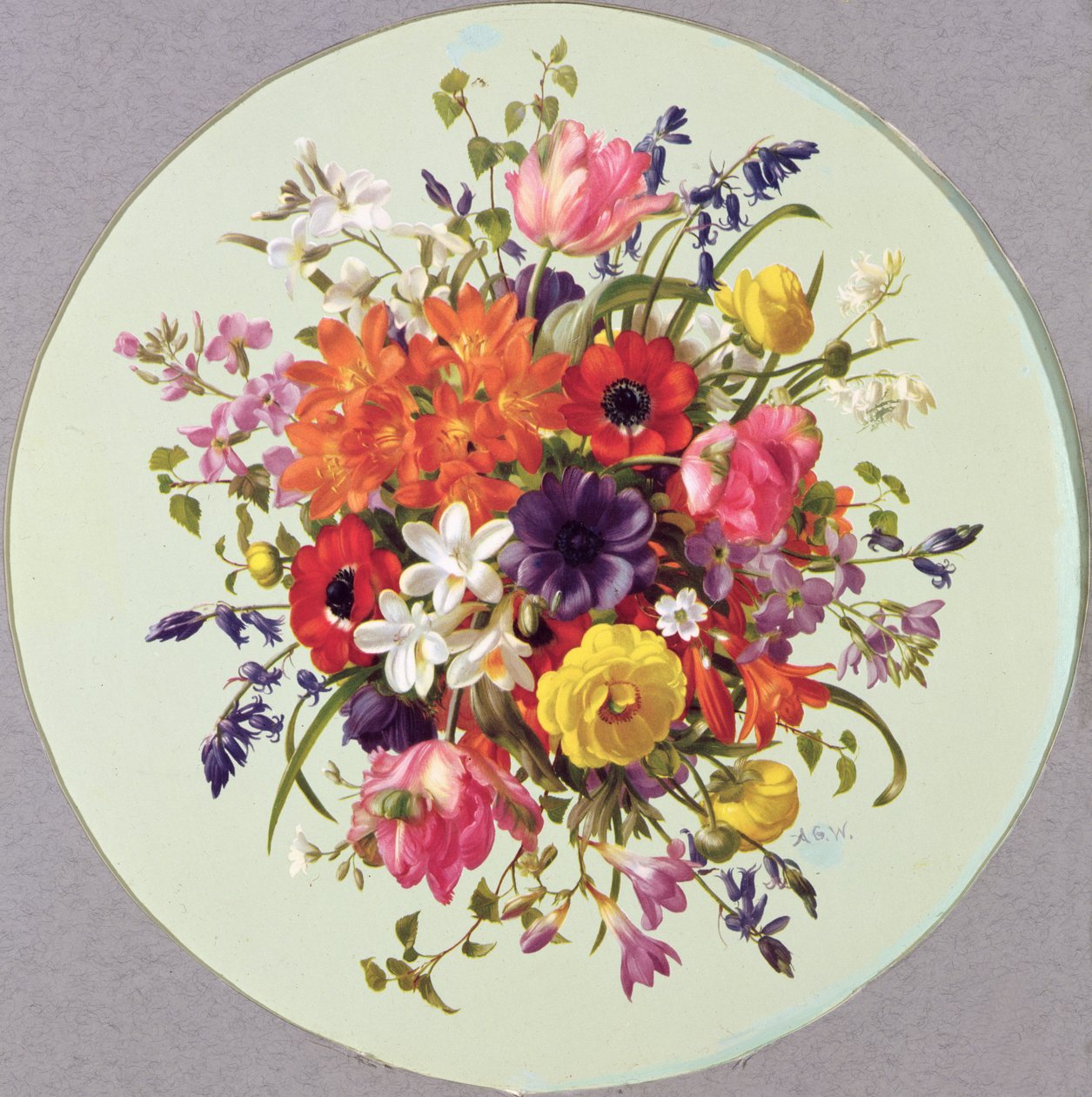 PB269 Un arrangiamento circolare di fiori da Albert Williams