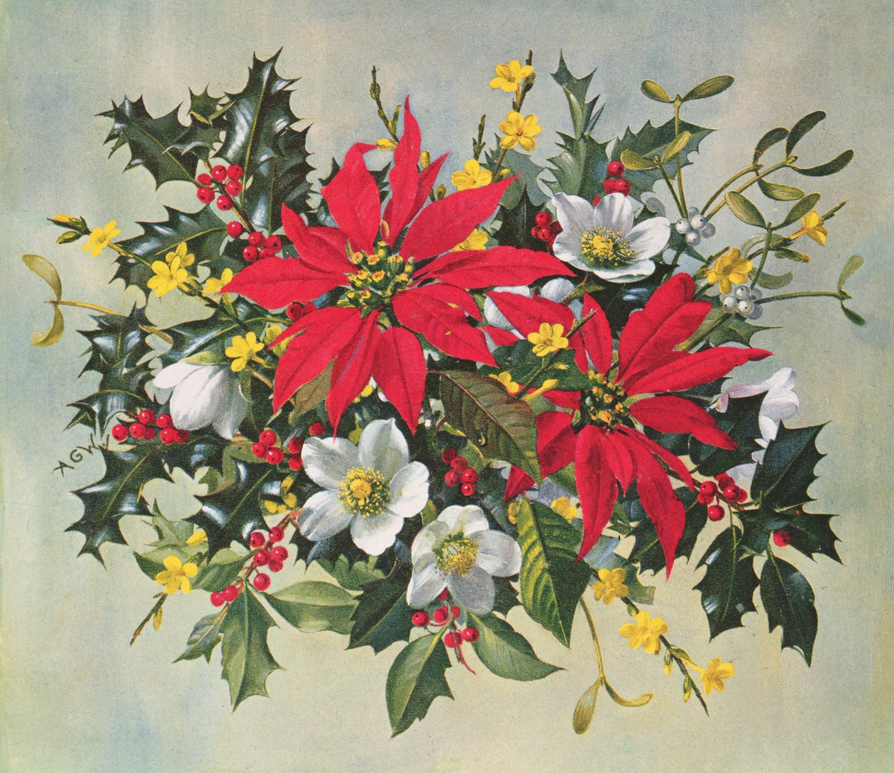 PB274 Fiori di Natale da Albert Williams