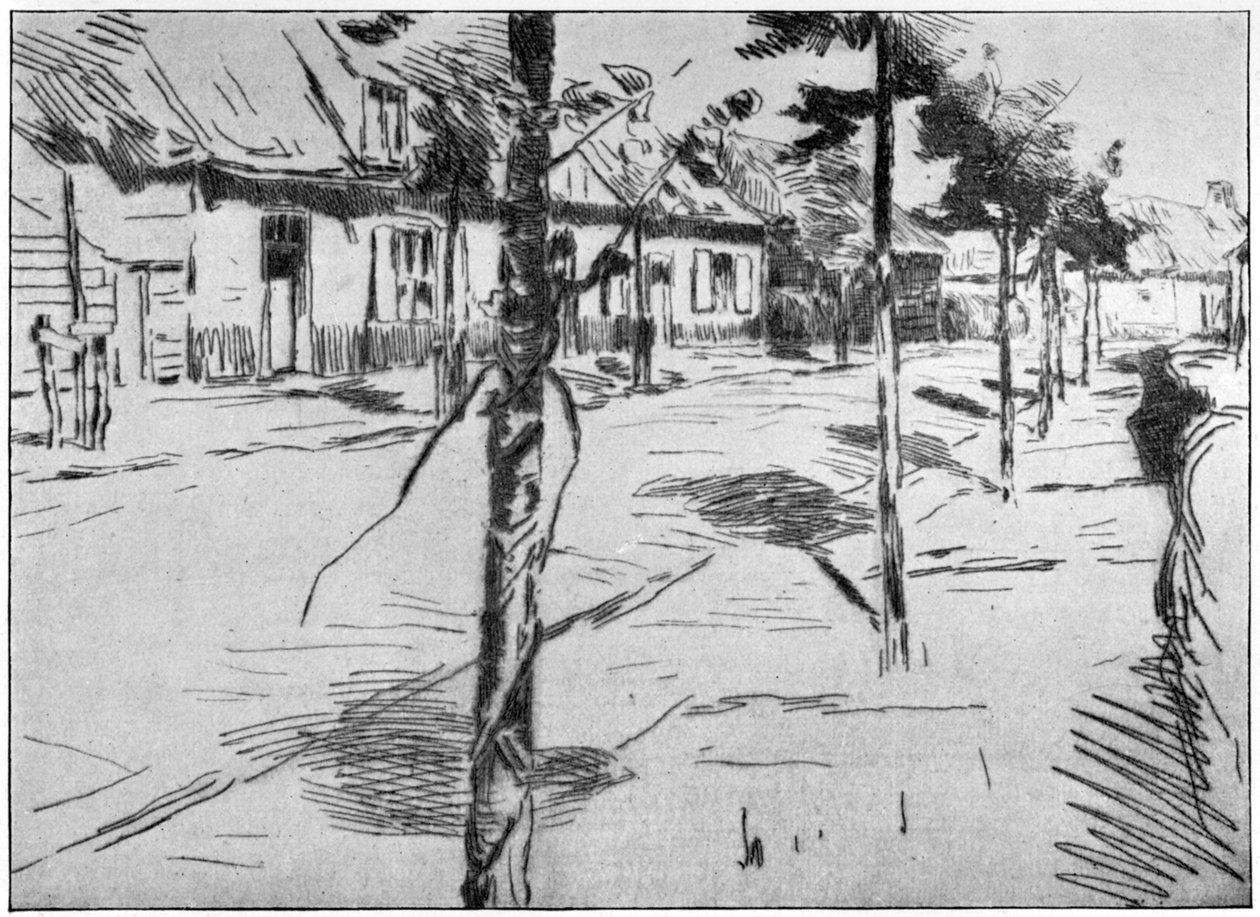 La Route Zélandaise da Albert Baertsoen