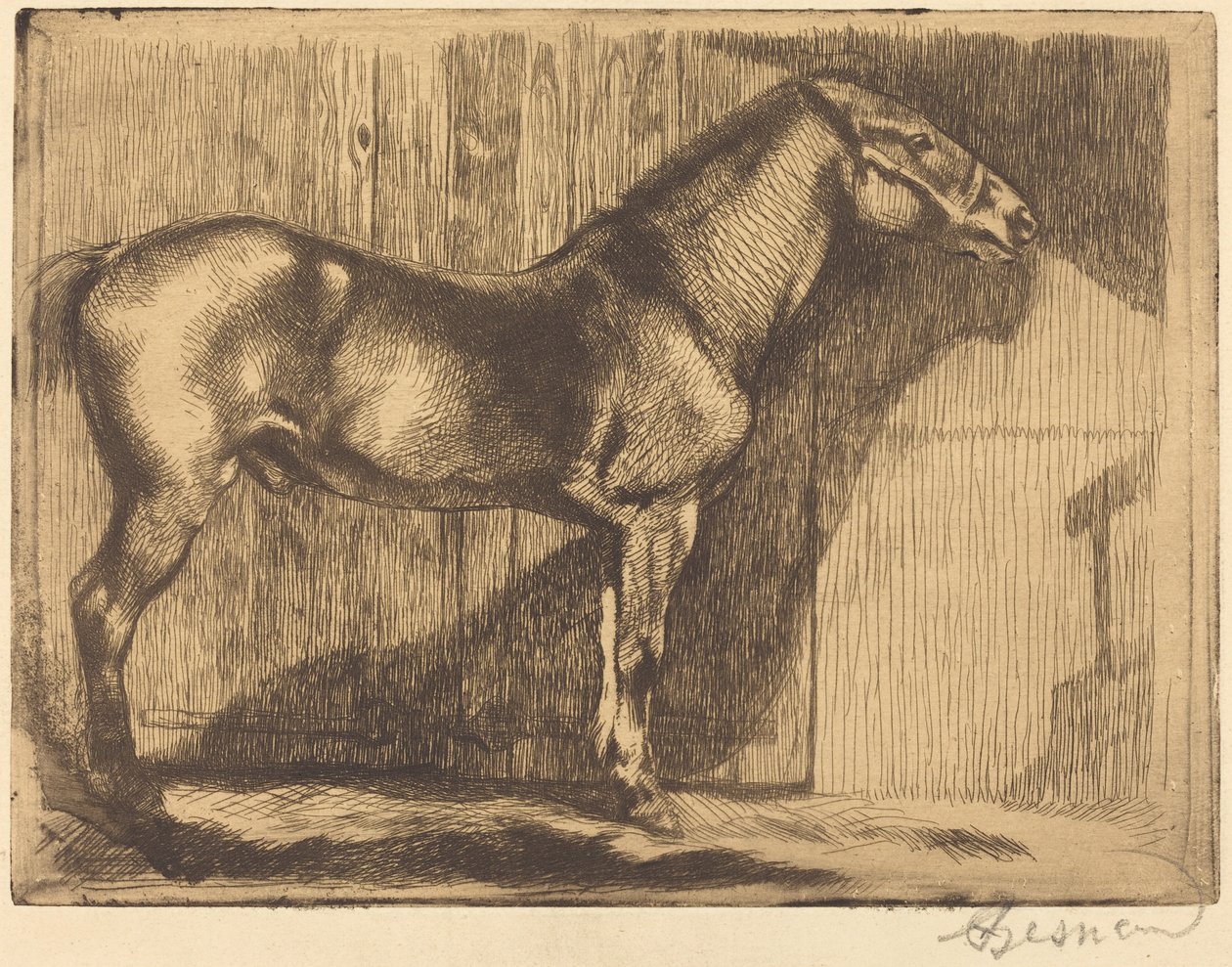 Pony (Le poney) da Albert Besnard