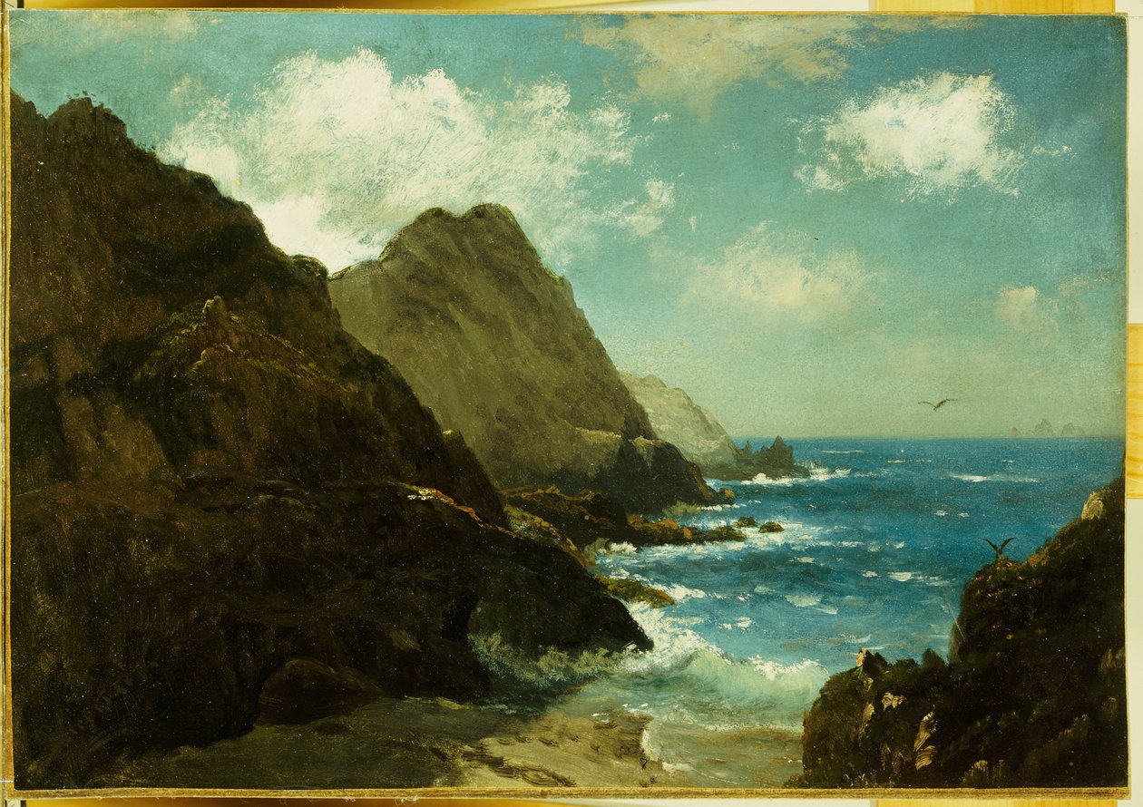 Isole Farallon da Albert Bierstadt