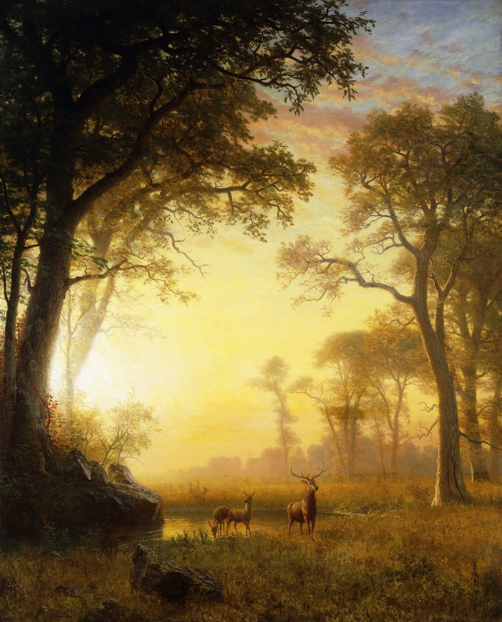 Luce nella Foresta da Albert Bierstadt