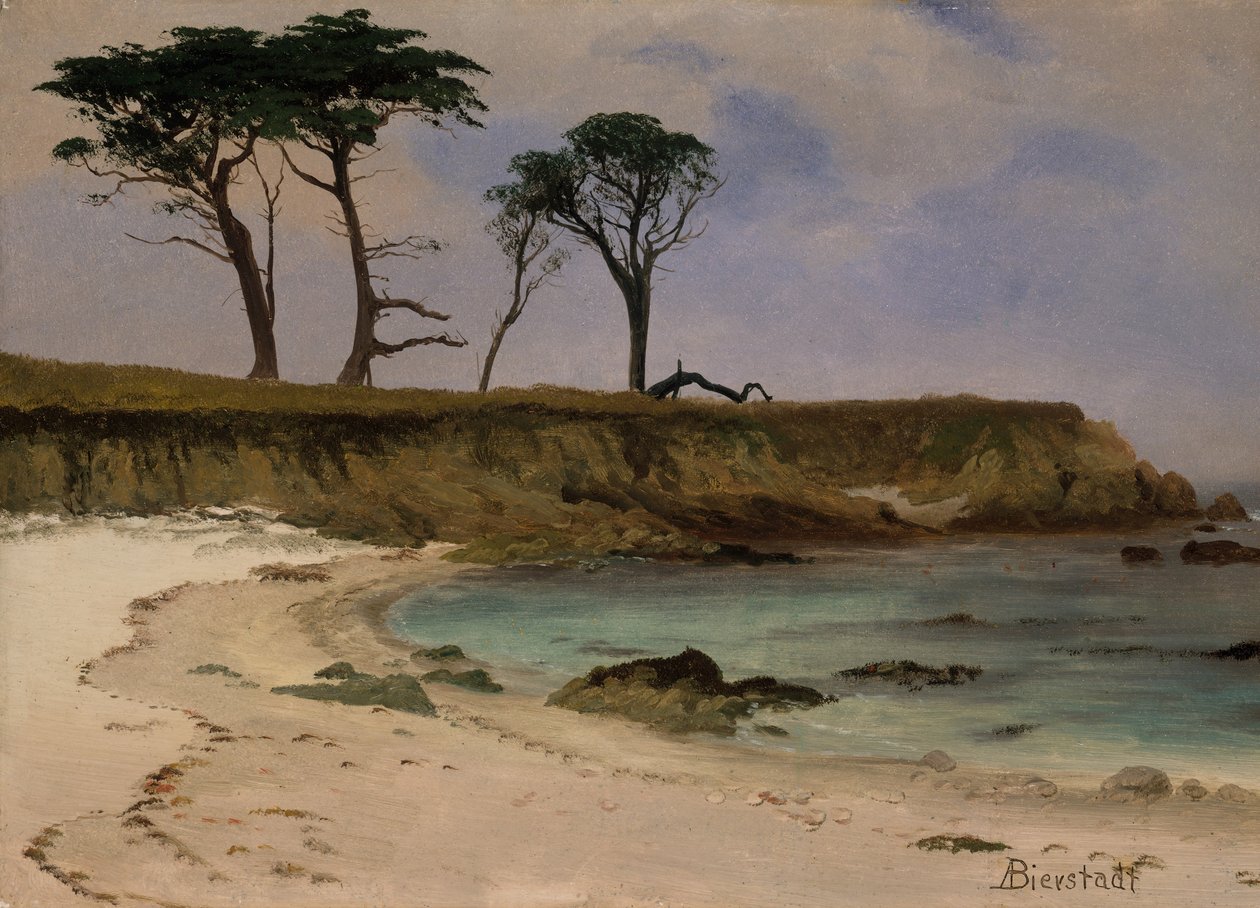 Baia Marina da Albert Bierstadt