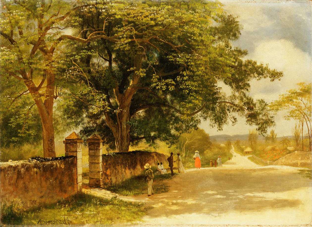 Strada a Nassau, c.1878 da Albert Bierstadt