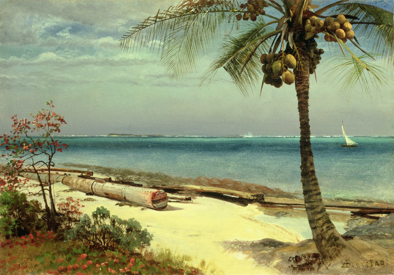 Immagine sconosciuta da Albert Bierstadt