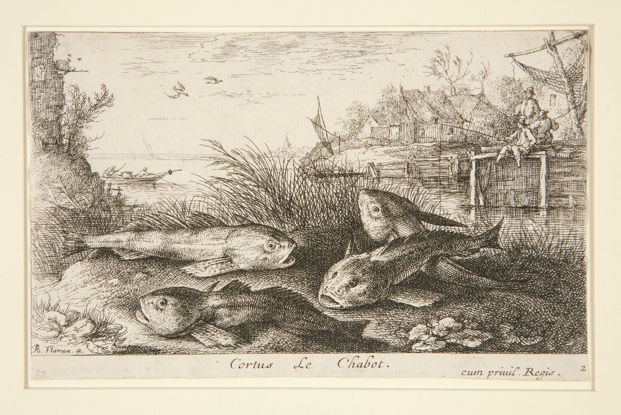 Cortus, Le Chabot da Albert Flamen