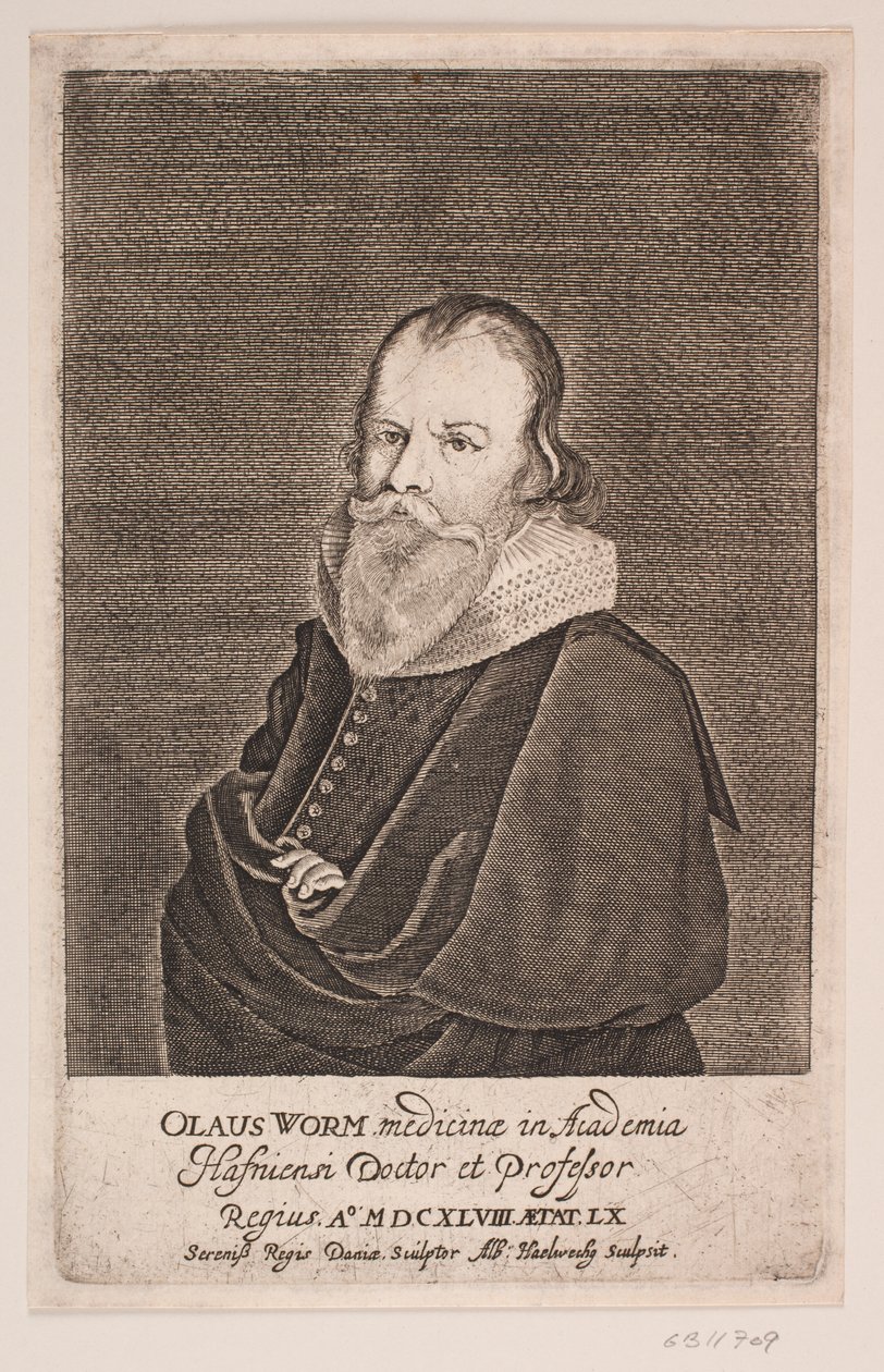 Ole Worm da Albert Haelwegh