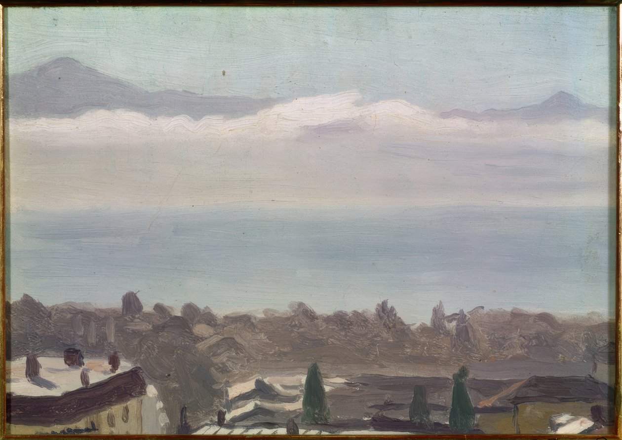 Losanna e il lago da Albert Marquet