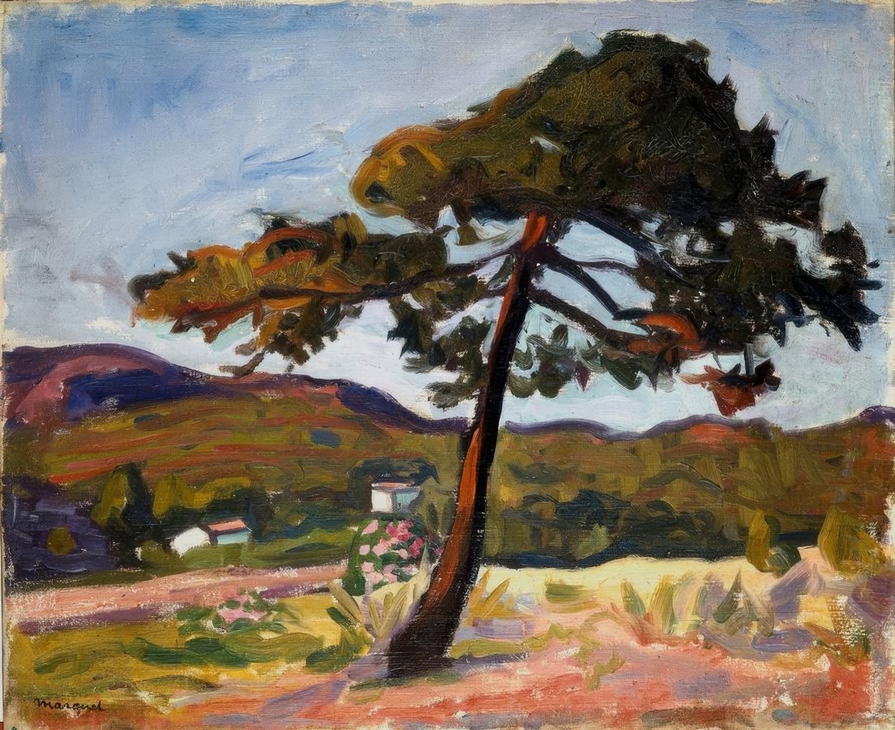 Pino a St. Tropez da Albert Marquet