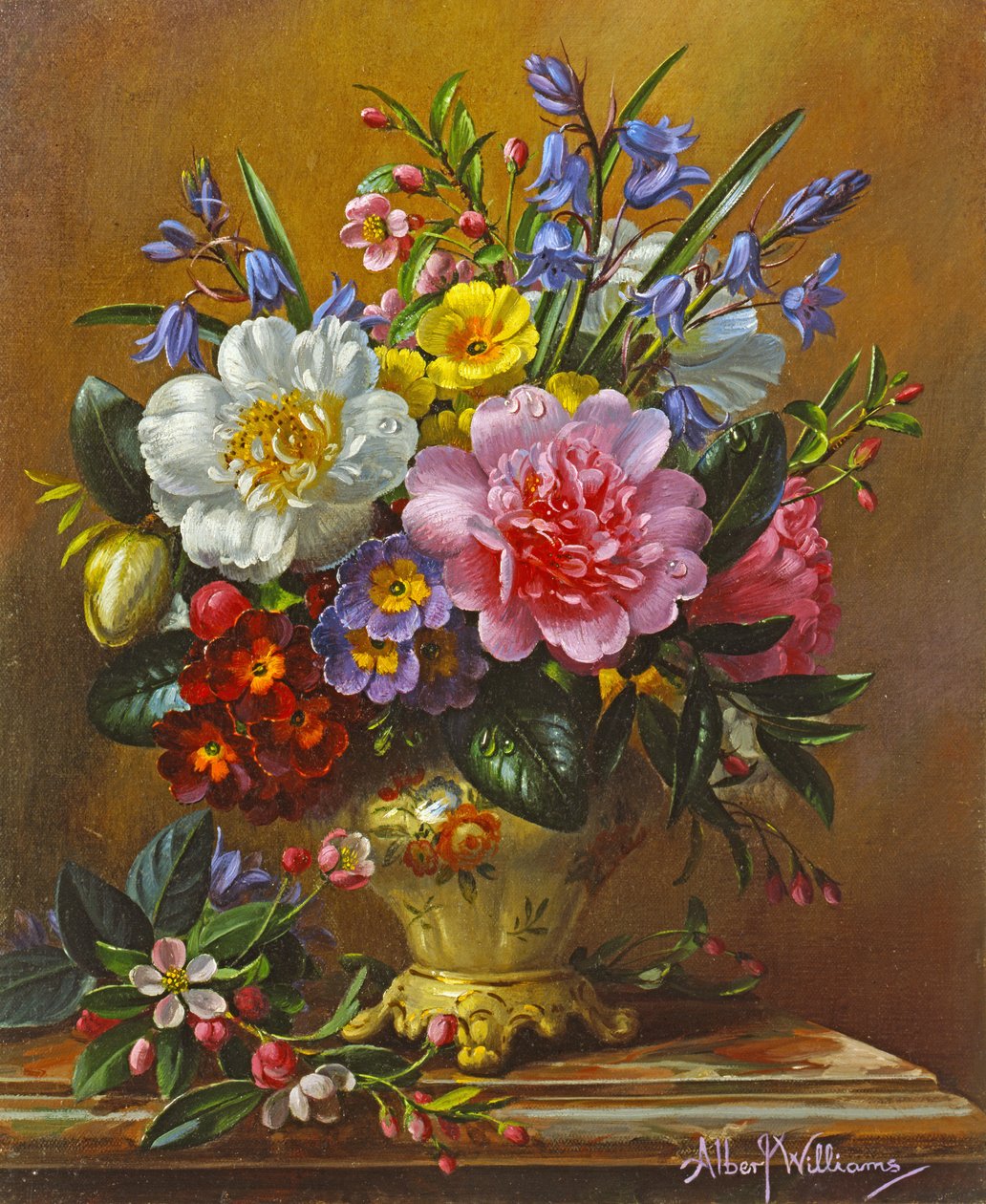 AB1112 Peonie, campanule e primule da Albert Williams