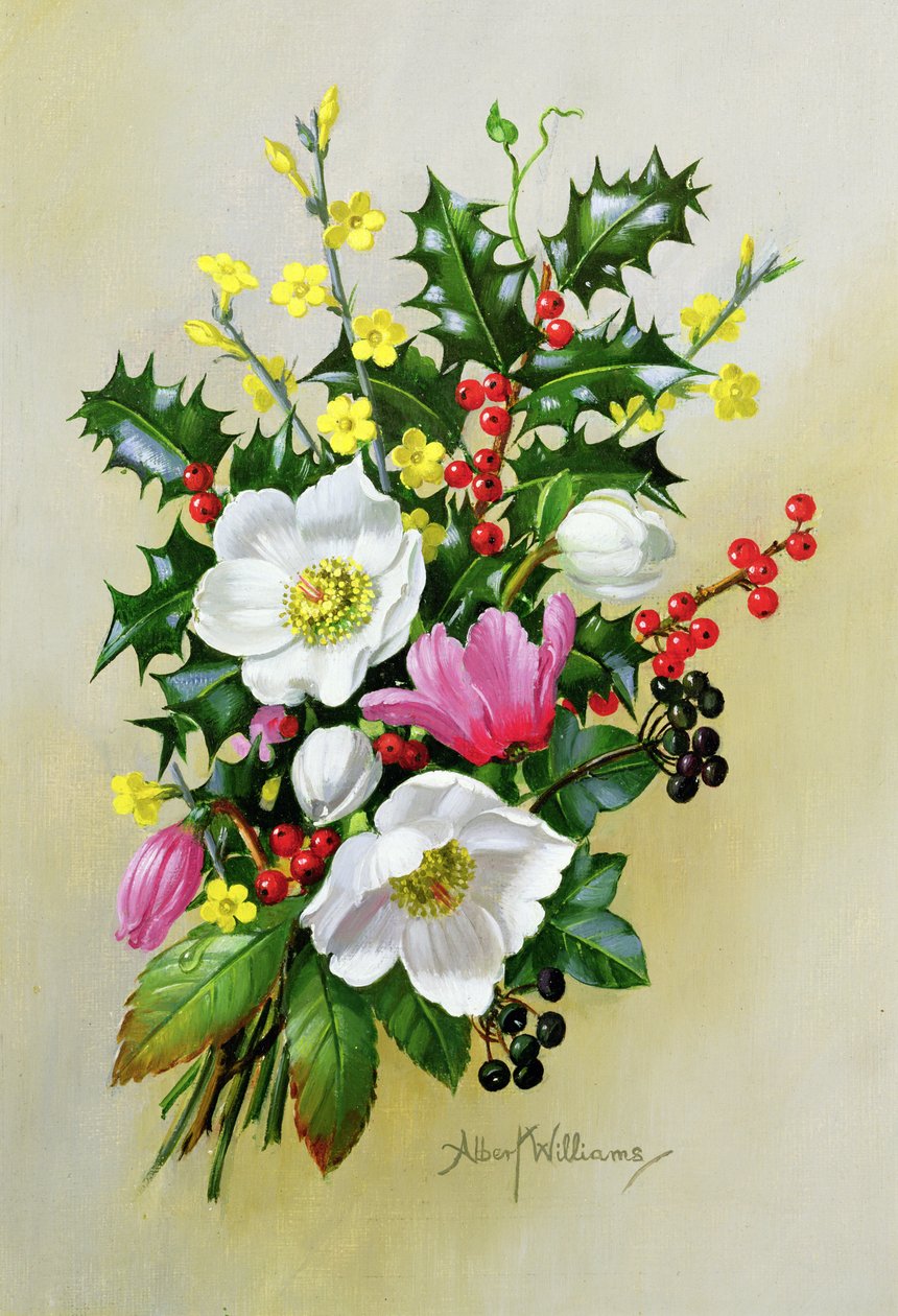 Ramo di rosa canina, agrifoglio, vischio e speronella da Albert Williams