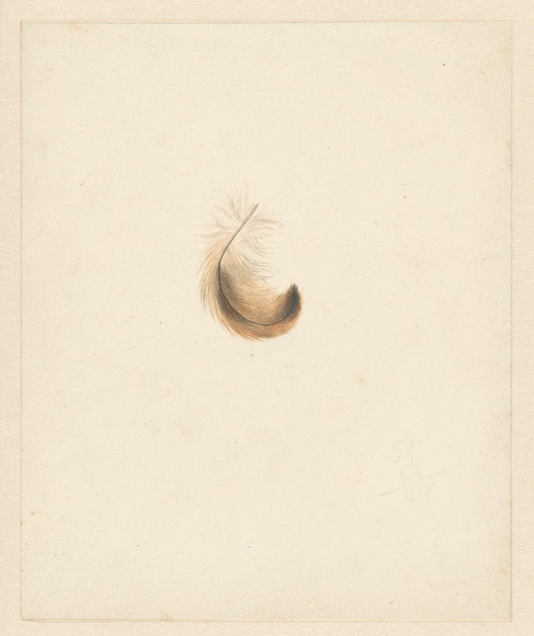 Studio di una piuma da Albertus Steenbergen