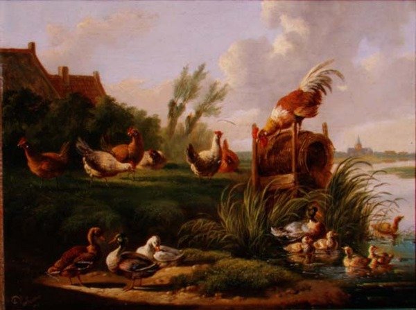 Anatre e pollame su una riva del fiume da Albertus Verhoesen