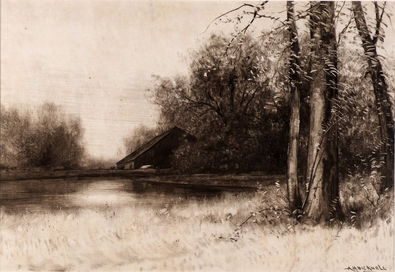 Stagno del Mulino da Albion Harris Bicknell