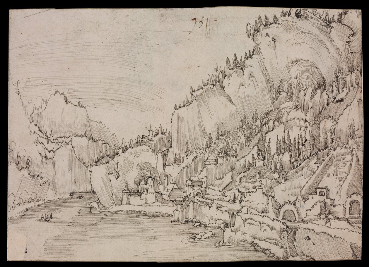 Sarmingstein sul Danubio da Albrecht Altdorfer