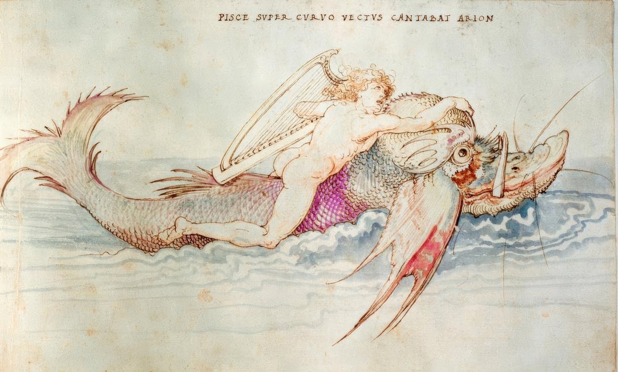 Arione salvato da un delfino da Albrecht Dürer