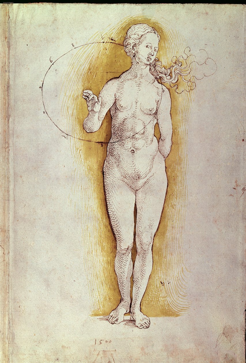 Nudo femminile da Albrecht Dürer