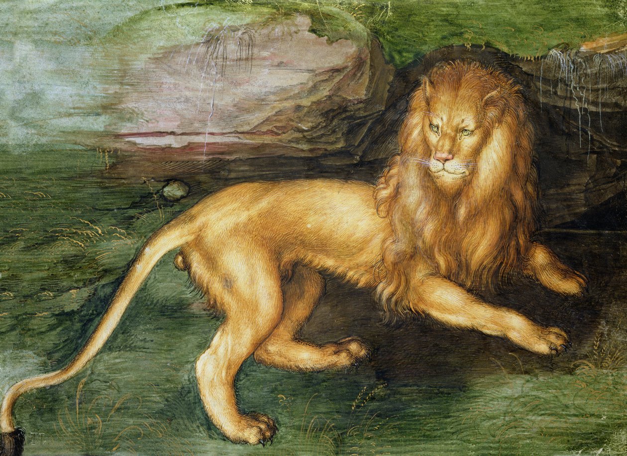Leone da Albrecht Dürer