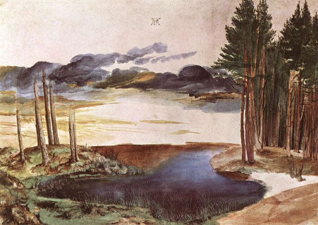 Stagno nel bosco da Albrecht Dürer