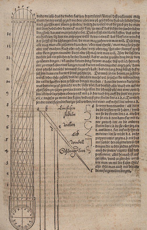 Colonna con decorazione a spirale da Albrecht Dürer