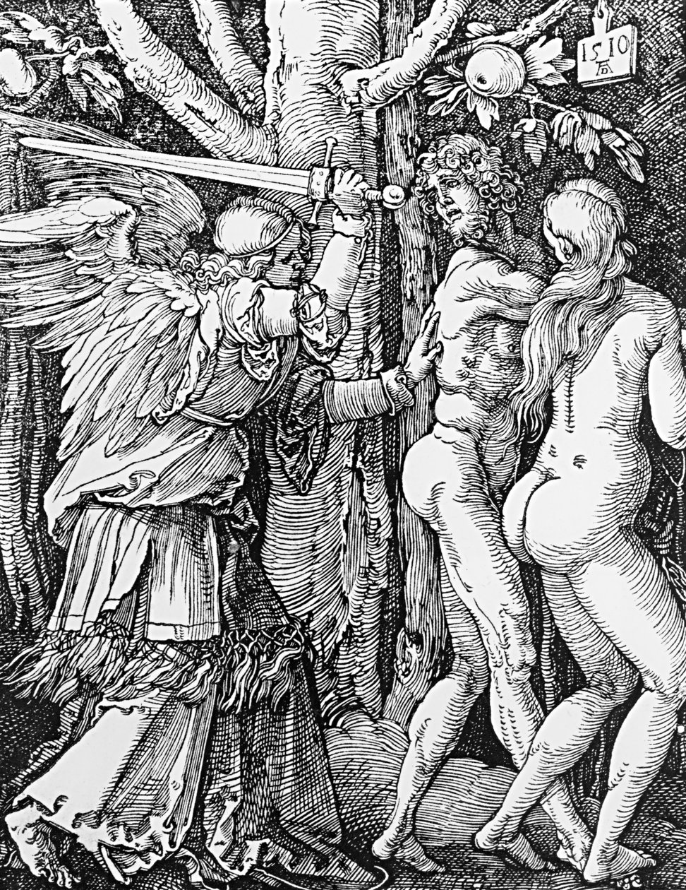 La cacciata dal Paradiso, 1510 da Albrecht Dürer