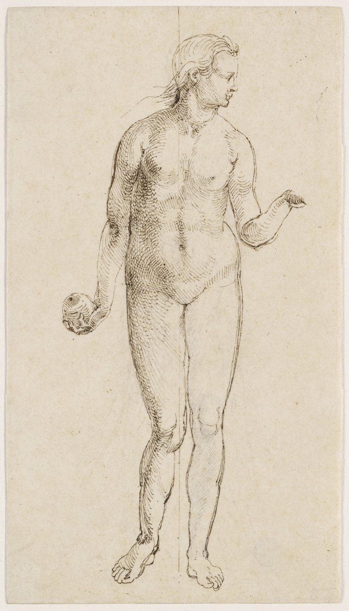 Eva da Albrecht Dürer