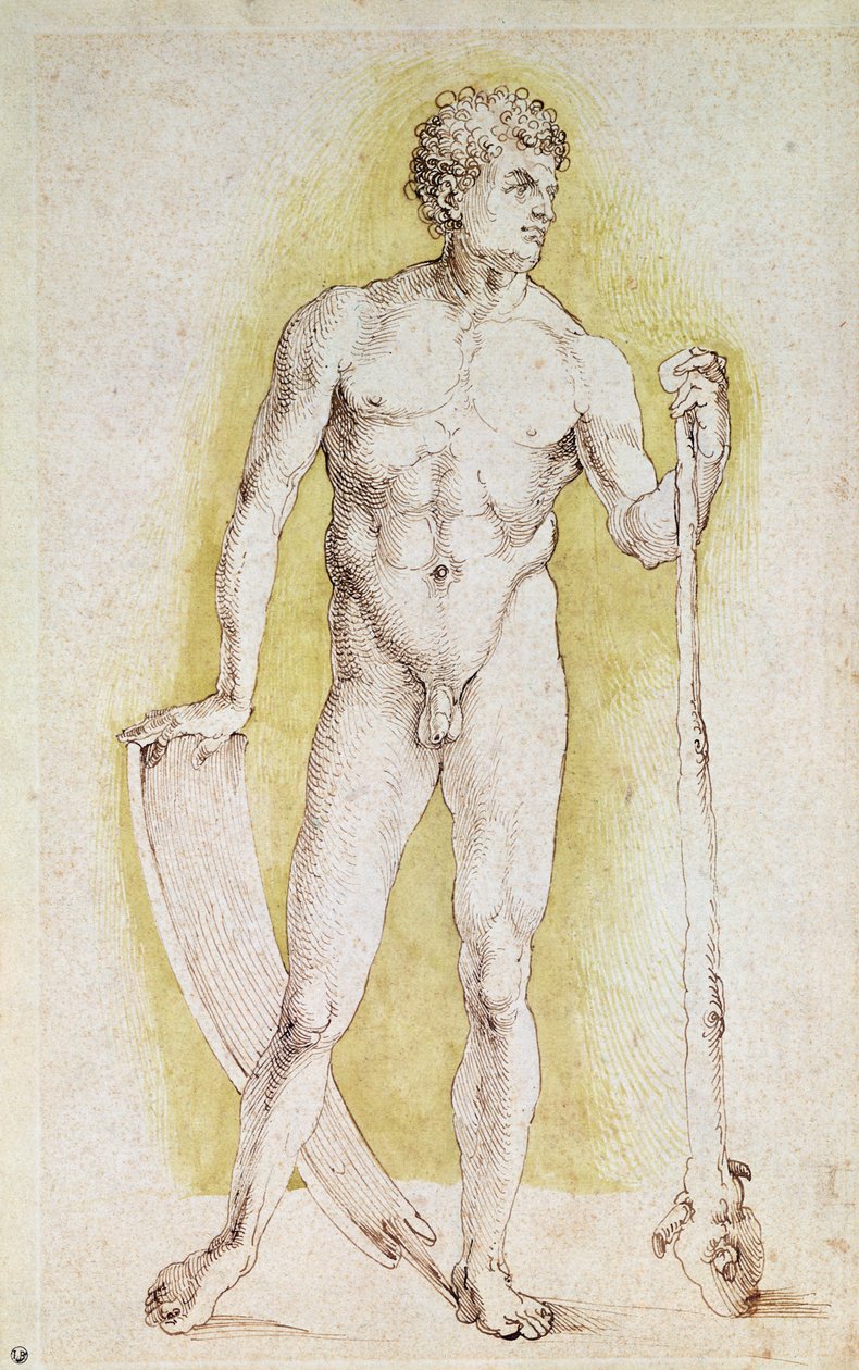 Giovane uomo nudo da Albrecht Dürer