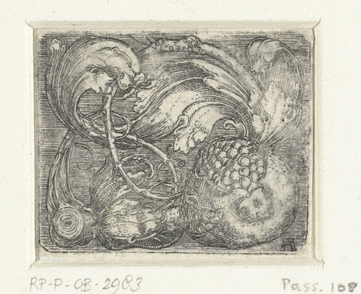 Melograno e tralci di foglie da Albrecht Altdorfer