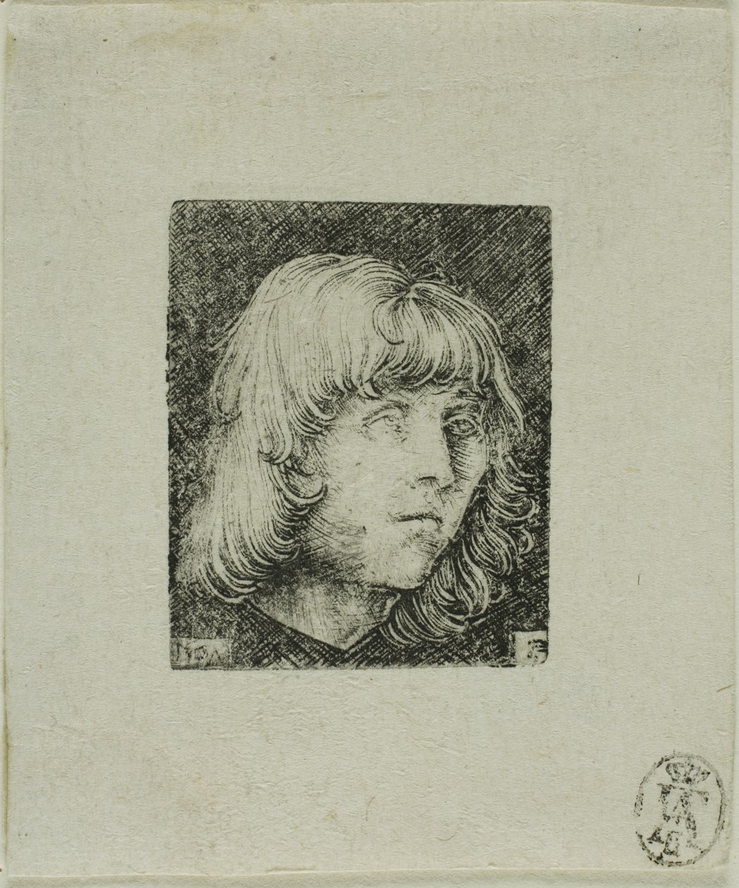Testa di un giovane da Albrecht Altdorfer