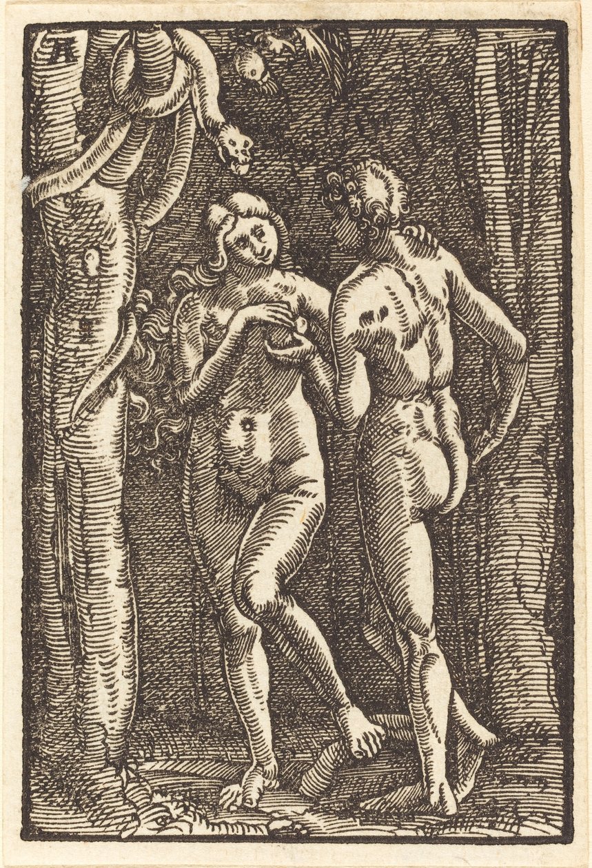La caduta dell