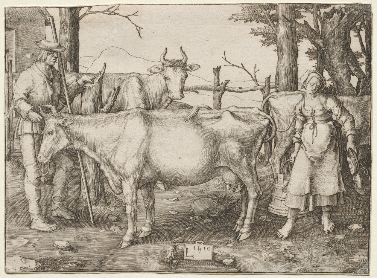 La lattaia da Albrecht Altdorfer