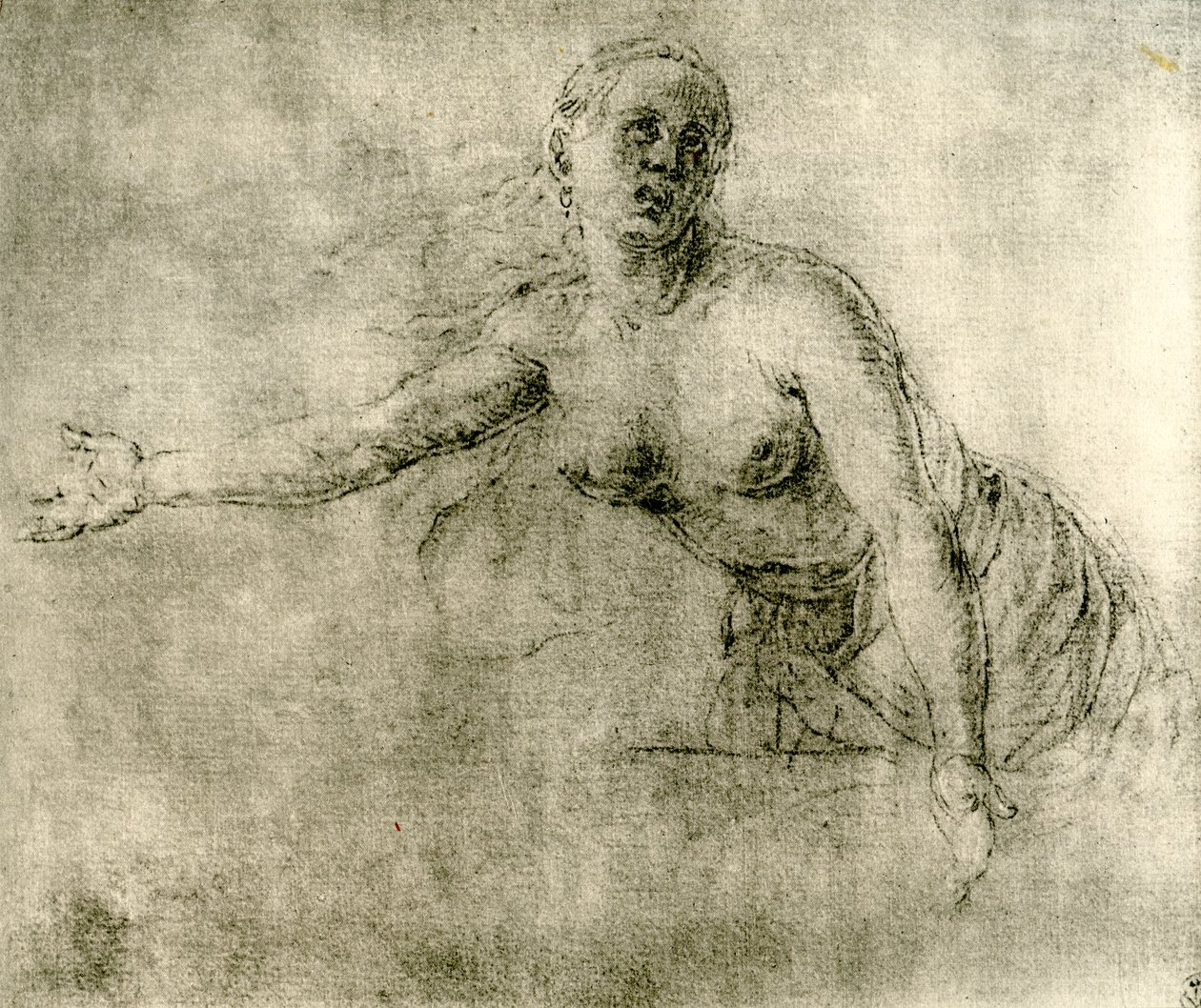Uno studio da Albrecht Dürer