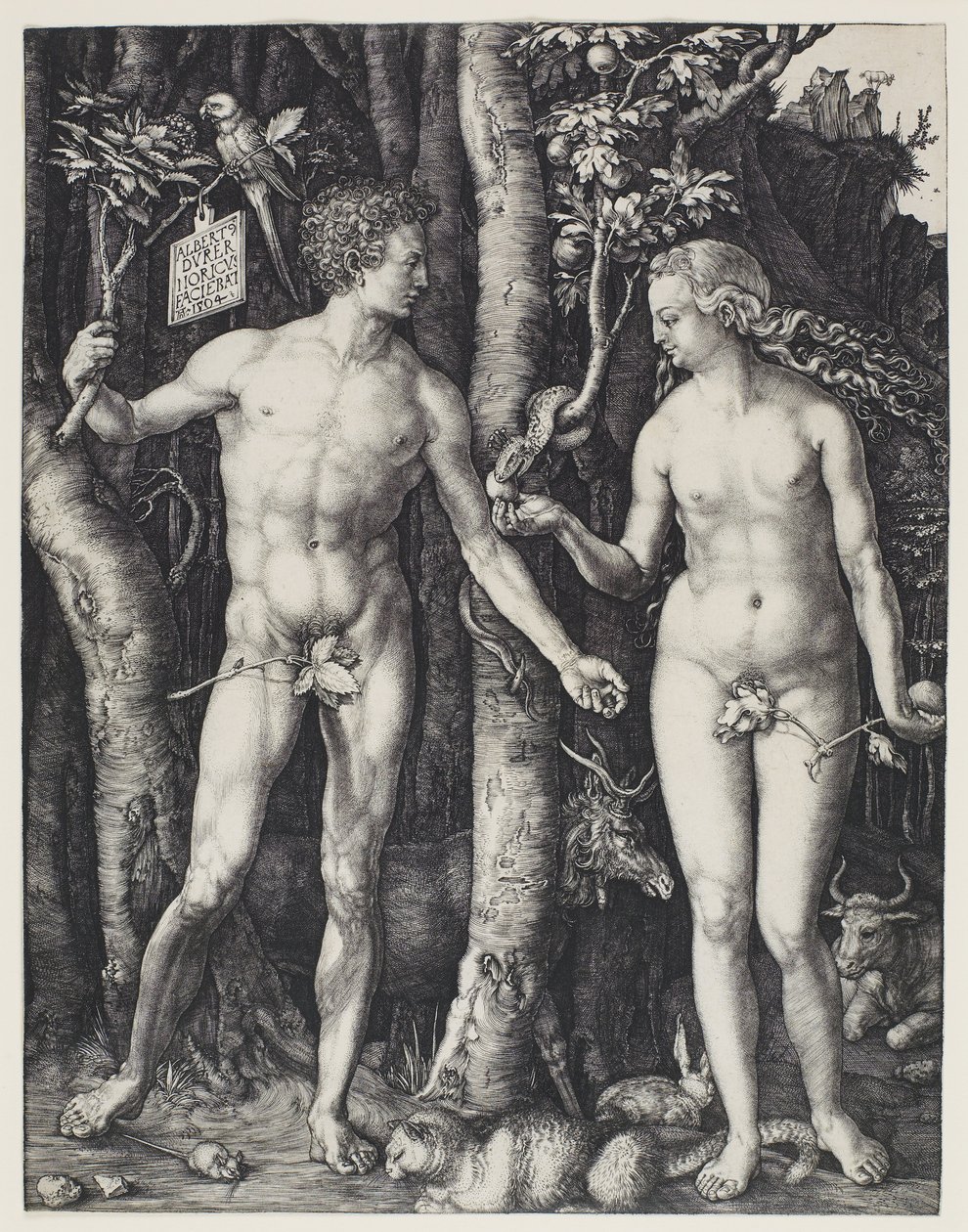Adamo ed Eva da Albrecht Dürer
