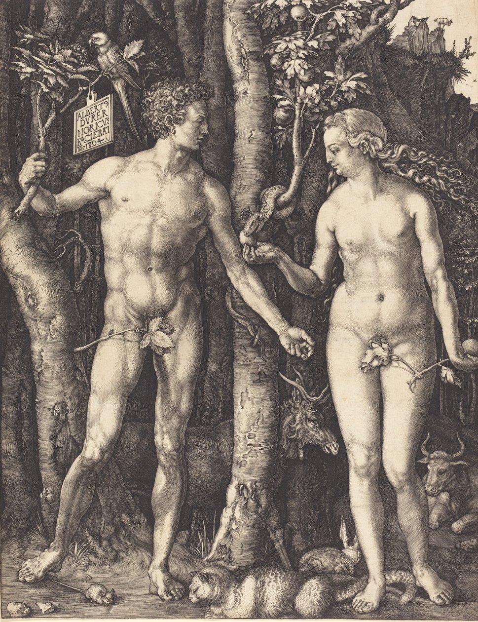 Adamo ed Eva, 1504 da Albrecht Dürer