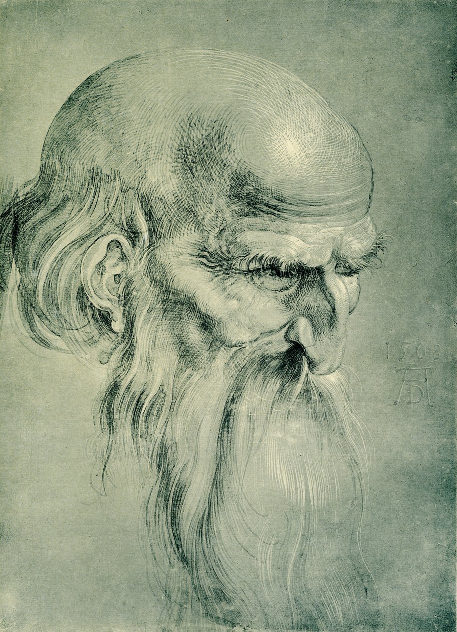 Testa di apostolo da Albrecht Dürer