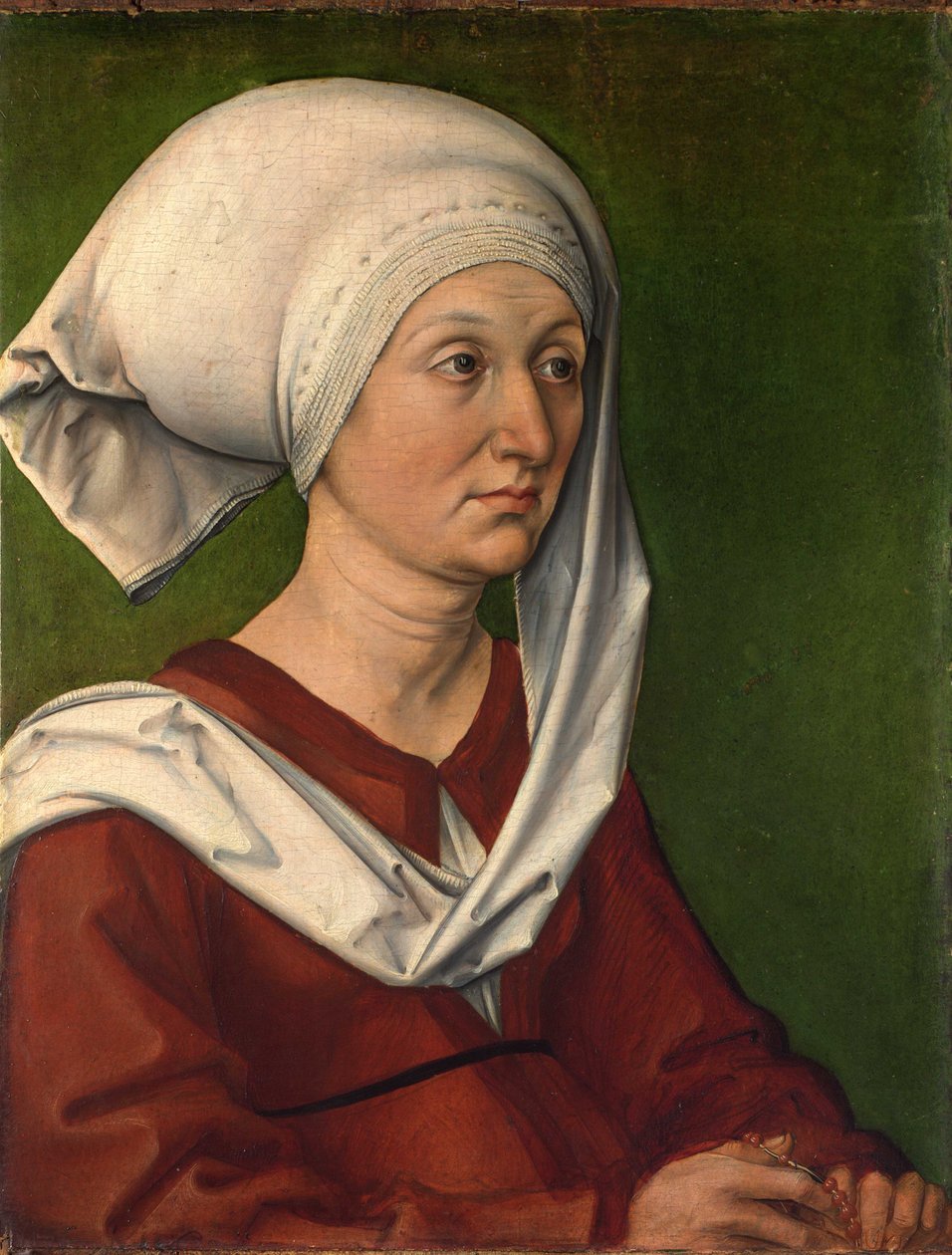 Ritratto di Barbara Dürer, nata Holper da Albrecht Dürer
